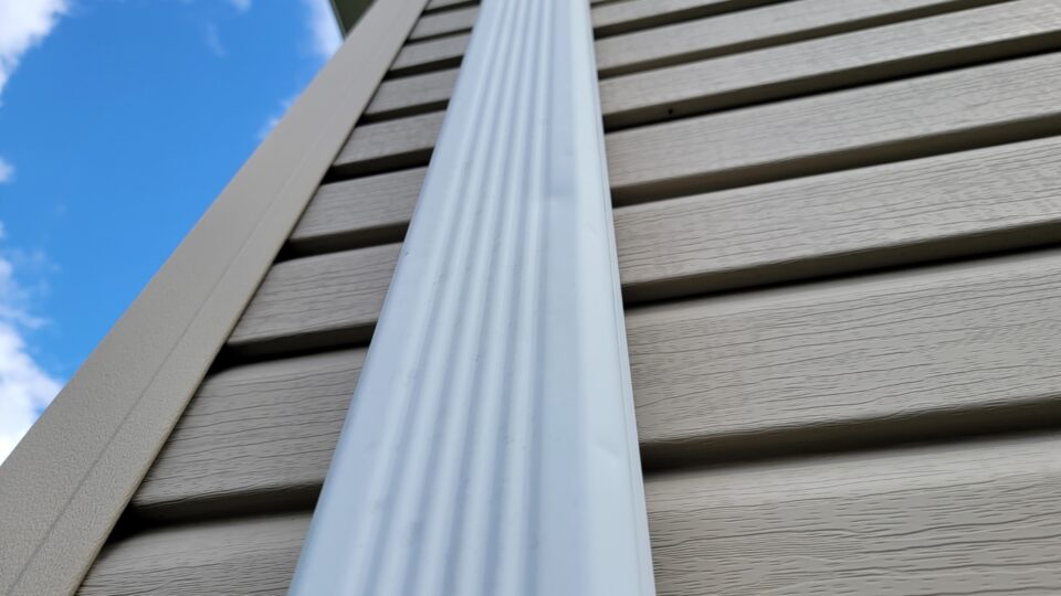 20220419_170105 (Medium)