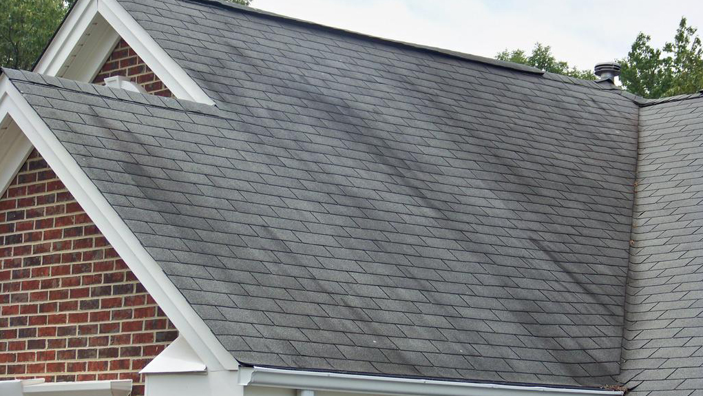 Get+Rid+of+Roof+Algae+Before+It+Gets+Rid+of+Your+Roof+1+8-5-16